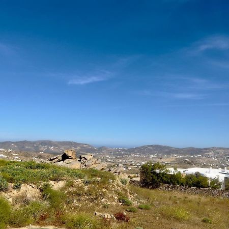 Villa Lux Mykonos House à Agios Stefanos  Extérieur photo